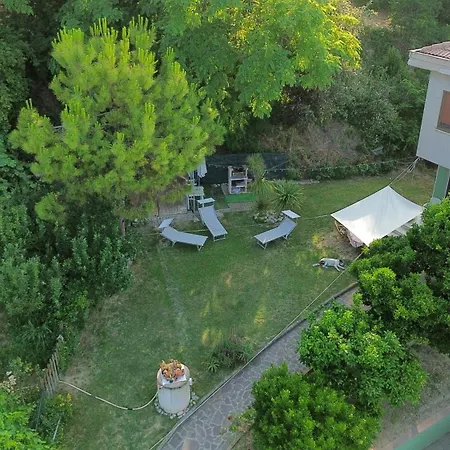 Peppe 3* Francavilla Al Mare